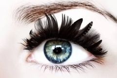 pestañas-plumas-ANAVALERO-BEAUTYCONCEPT